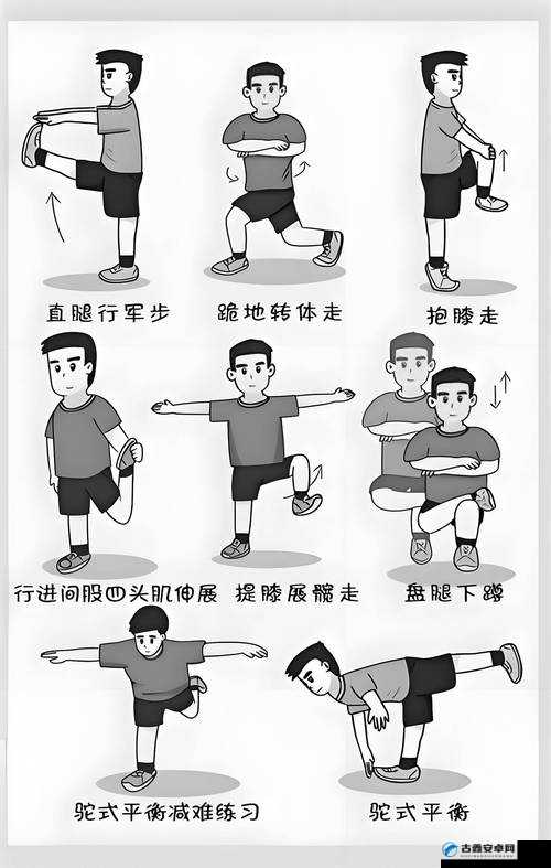 樱桃湾之夏体能训练有多重要？这份超详细攻略让你秒变运动达人！